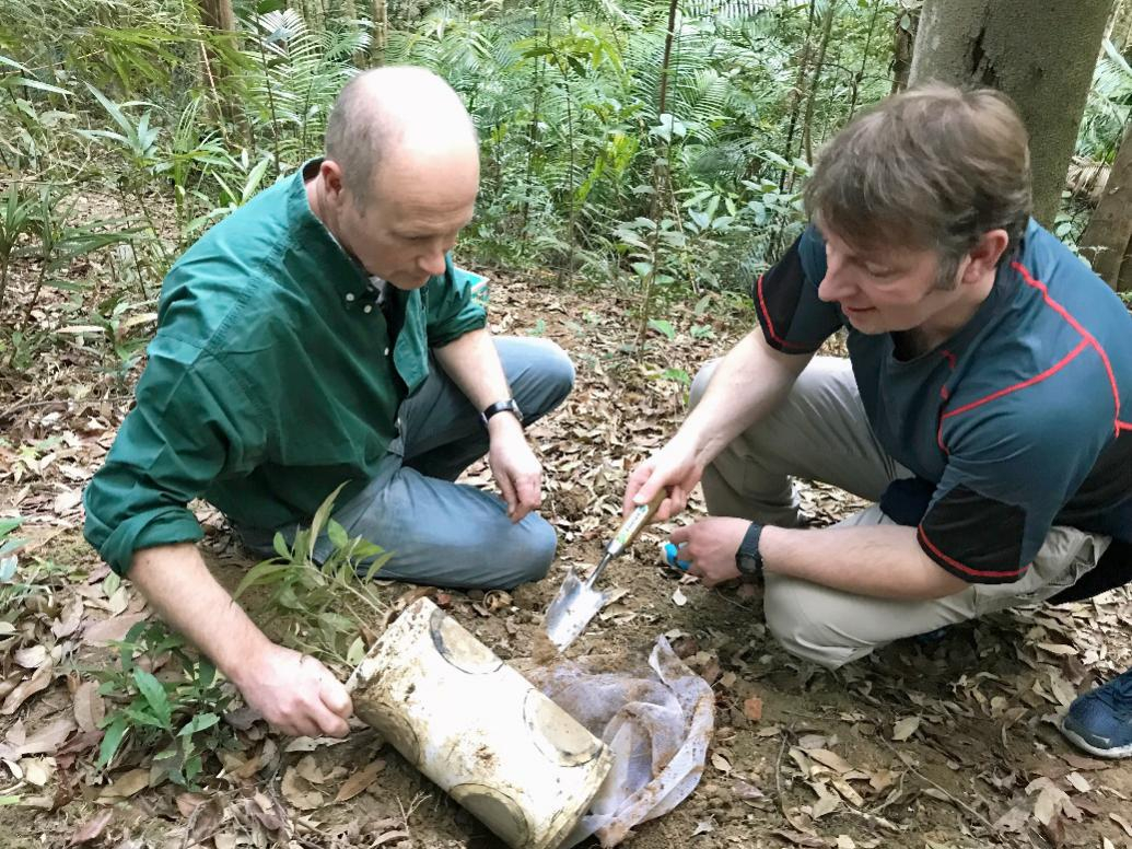 刘徐兵教授和英国合作者在黑石顶和鼎湖山自然保护区开展野外实验